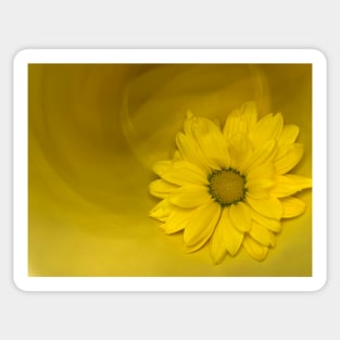 Chrysanthemum Sticker